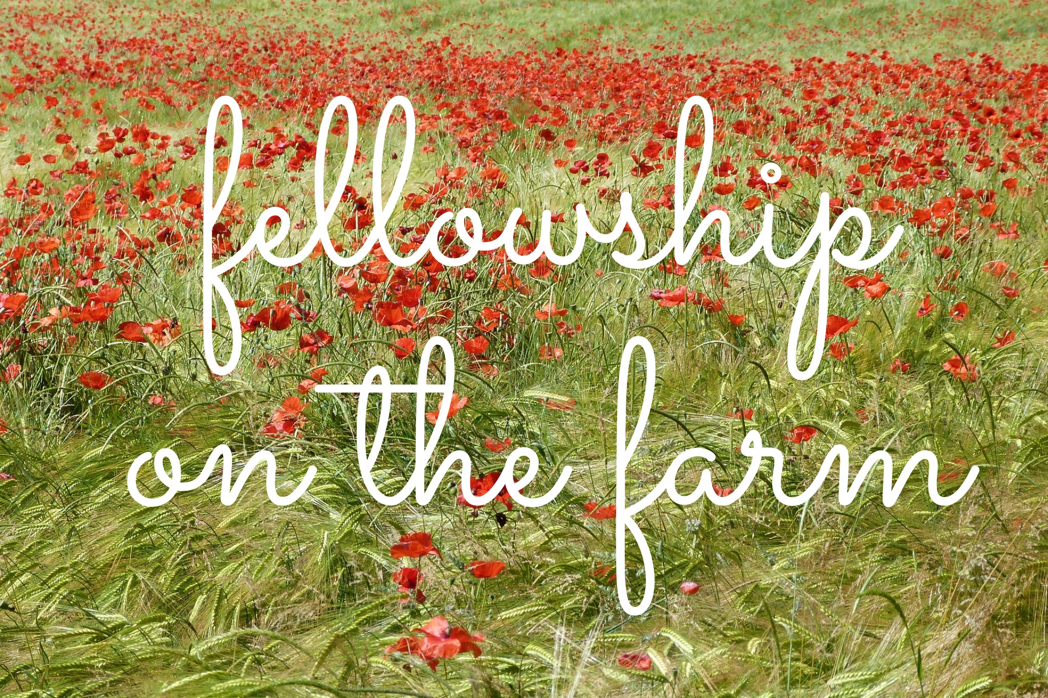 Fellowship On The Farm – Faith, Farming And Family